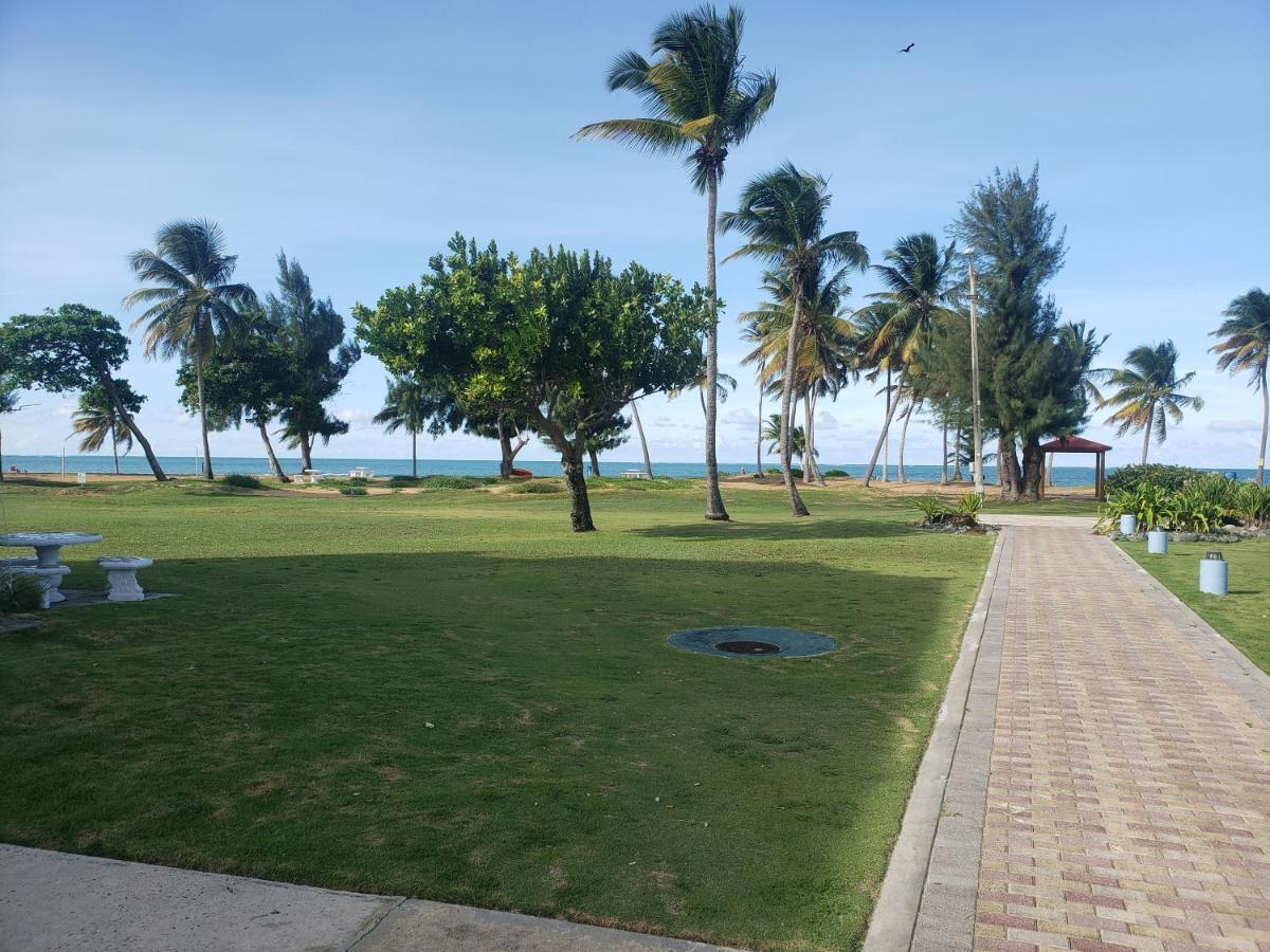 Relax Beachfront Complex At Río Grande Extérieur photo